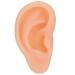 Simulated Ear Real Shape Different Types Silicone Ears Acupuncture Models Soft for Training(Right)