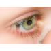 Eyelike Monthly Contact Lens -4.50 Diopters | Clear 1 Piece | International Shipping Available - Buy Online on GoSupps.com