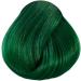 La Riche Directions Apple Green Semi-Permanent Hair Color 100ml Tub - Pack of 1 - Buy Online on GoSupps.com