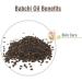 Babchi Carrier Oil (Psoralea Corylifolia) 100ml - 100% Pure, Natural & Cold Pressed - Buy Online on GoSupps.com