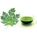 Herbal Magic Pure Papaya Leaf Powder - Green & Whole Leaves | Ayurvedic Superfood for Smoothies & Baking | 300gms - Buy Online on GoSupps.com