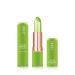 Rebellion Red Natural Aloe Vera Lip Gloss Warm Lipstick Aloe Extract Lipstick Lip Makeup Sets (Nude Red)