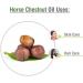Horse Chestnut Oil Pure and Natural Oil | Firm Skin Skin Hydration Skin Toning Cosmetic Grade Hair Care and DIY Purpose - 100 ML Horse Chestnut Oil 100 ml (Pack of 1) - Buy Online on GoSupps.com