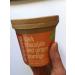 Simplyseedz Porridge Pots Dark Chocolate & Ginger 60g (9 x Pots) Vegan Compostable recyclable pot Vegan 100% Natural Nourishment Unprocessed - Buy Online on GoSupps.com