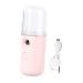 BIUDECO 1pc Portable Humidifier Face Mist Sprayer Machine Facial Steamer Plastic Student Usb Small Fan Pink 14.5X4CM Pink