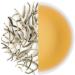 lifetone the tea for better life White Tea | Silver Needle Tea | Ceylon Silver Tips | 20 teabags 40g - Buy Online on GoSupps.com
