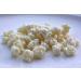 Kombuchaorganic Organic Milk Kefir Grain Tibetan Mushrooms of Organic Quality 30.0 grams