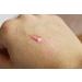 Nilotica Goddess Glow - Organic Rose Gold Liquid Highlighter for Hydrated Dewy Skin - Buy Online on GoSupps.com
