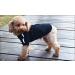 Ducomi 100% Cotton Hood Dogs Sweatshirt | Warm Monochrome Small Dog Sweater for All Breeds & Sizes | XS to 9XL Available in Black (M) - Buy Online on GoSupps.com