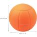 Wooneky Fascienball Massage Device | Back Foot & Leg Muscle Relief | Plantar Massage Roller - Buy Online on GoSupps.com