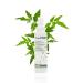 Dogoteka Dogo Stop Spray 150 ml