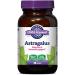 Oregon's Wild Harvest Astragalus 90 Gelatin Capsules