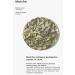B_LAB Matcha Hydrating Foam Cleanser 120ml - Gentle Cleansing for Hydrated Skin - Buy Online on GoSupps.com