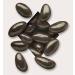 Premium Triple-Dipped Dark Chocolate Brazil Nuts - 1.5 Lb Tub - Buy Online on GoSupps.com
