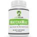 Organic Japanese Matcha Capsules - 120ct Vegan Matcha Supplement for Natural Energy and Mood Boost - Packed with Antioxidants - Buy Online on GoSupps.com