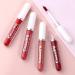 18PCS Dark Red Matte Liquid Lipstick Set - Long Lasting & Waterproof Lip Gloss Gift Set for Women - Buy Online on GoSupps.com
