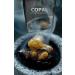 NIGHT Organic Copal Resin 200g Chandra race Improves harmony Increase Concentration and Relaxation Combat stress and insomnia - Buy Online on GoSupps.com