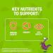 Flintstones Immunity Support + C Children's Multivitamin Gummies 150 ea - Pack of 2 - Buy Online on GoSupps.com