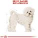 Royal Canin Dog Food Bichon Frise 1.5kg - Buy Online on GoSupps.com