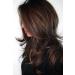 Wigbuy Brown with Camel Highlight Long Layered Shoulder Length Synthetic Hair Wig for White Women - Buy Online on GoSupps.com