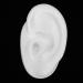 Ear Display Model Silicone Ear Model Silicone Material for Hearing Aids Wearing(Left) - Buy Online on GoSupps.com