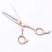 Barber Scissors Professional Hairdressing Scissors and Thinning Scissors Set Gold Stainless Steel Exquisite Hair Scissors Salon Barbers Or Home Use - Buy Online on GoSupps.com