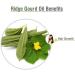 Ridge Gourd Oil (LUFA ACUTANGULA) 100% Natural Pure Carrier Oil 30ml Ridge Gourd 30 ml (Pack of 1) - Buy Online on GoSupps.com
