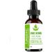Pure Herbs Turmeric Essential Oil (15 ml) - 100% Pure Curcuma Longa for Natural Healing & Wellness - Buy Online on GoSupps.com