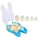 Tooth crown 50PCs/box Dental Temporary Crown for front teeth temporary tooth crowns for porcelain teeth tooth crown with different sizes oral care front tooth crown (front teeth)