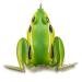 Lunkerhunt Lunker Frog  Freshwater Fishing Lure with Realistic Design, Weighs  oz, 2.25 Length Bull Frog