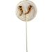 Crunchy Critters Edible Insects Three Lollipops - 90g - Buy Online on GoSupps.com