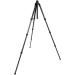 Slik PRO CF-934 Carbon Fiber Tripod - Lightweight and Durable - Buy Online on GoSupps.com