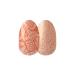 Color Street 'Beach Bum' (FDG542) - Nail Polish Strips Retro Resort 2024 16 Count (Pack of 1)