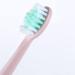 Ultrasound Electric Toothbrush - 180-Day Brush Heads 5 Modes 2-Minute Timer - Rose Color for Adults | International Shipping - Buy Online on GoSupps.com