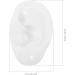 Educational Ear Piercing Kit: Silicone Ear Models for Jewelry Display & Teaching - Buy Online on GoSupps.com