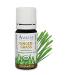 Amrita Aromatherapy Organic Gingergrass Essential Oil 100% Pure Undiluted Cymbopogon martini var. Therapeutic Grade Premium Quality Aromatherapy oil Tested & Verified 10ML