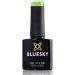 Bluesky UV/Gel Nail Polish 10 ml Aviv SS1902 Green 1 Units - Buy Online on GoSupps.com