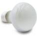 Terra Exotica 60W Heat Spot Lamp for Reptiles - 3-Pack Terrarium Lighting | 25W 40W 75W 100W 150W Options Available - Buy Online on GoSupps.com