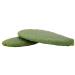 2kg Opuntias (Opuntia) | Cactus leaves | Fodder plant | Turtle food