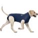 MPS Medical Pet Shirt for Extra Large Dogs - Blue XL | Comfort & Care for Your Pet - Buy Online on GoSupps.com