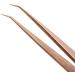 LivBay Lash - Just The Tip Tweezer for Eyelash Extensions | Gold | Professional Use Only - Buy Online on GoSupps.com