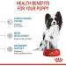 Royal Canin X-SMALL Puppy | 500g | Dry food for very small breed puppies | May contribute to the normal functioning of the immune system | With omega-3 - Buy Online on GoSupps.com