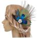 Girls Fashion Peacock Feather Hair Clip Feather Hair Pins Wedding Feather Fascinator Costume Hair Pins Wedding Feather Fascinator Accessories Wedding Feather Fascinator for Women & Girls - Buy Online on GoSupps.com
