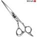 Titan Offset Japanese Style Hair Cutting Scissors 6.5 inch - Professional Barbering Scissors with Sharp Handmade Steel Edge - Buy Online on GoSupps.com