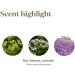 Young Living RutaVaLa Essential Oil Roll-On 10 ml | Calming Aromatherapy Blend for Relaxation | Ruta Lavender & Valerian Oils - Buy Online on GoSupps.com