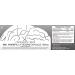 N-Acetyl L-Tyrosine Capsules 350mg | 120 Count | Natural Nootropic Supplement for Memory, Learning & Focus | Supports Healthy Stress Levels - Buy Online on GoSupps.com