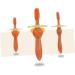 Minkissy 2-Pack Baby Toothbrushes | Soft Oral Care Brushes for Newborns & Children | Travel-Friendly Design - Buy Online on GoSupps.com