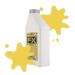 Liquid Latex Fashions | Ammonia Free Metallic Gold Face Paint for Kids & Adults | 16 oz - Perfect for Artwork School Plays Cosplays & Concerts - Buy Online on GoSupps.com