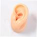 Professional Ear Piercing Tool Silicone Ear Model Practice Piercing Tools Ear Stud Display Tool Body Jewelry - Buy Online on GoSupps.com
