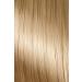 Naturcolor Haircolor 9N Sesame Blonde Hair Dye 4 Fl Oz - Pack of 1 - Buy Online on GoSupps.com